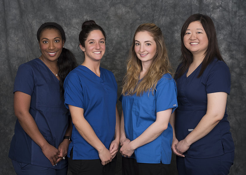Meet Our Team Excellence In Dentistry 